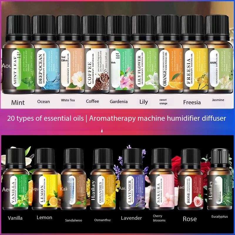 Coffee Bean And Tea Leaf - Olio Essenziale Hankey per Umidificatori, Fragranze