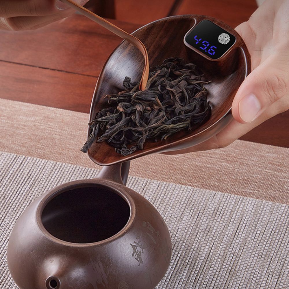 Bilancia per Caffè con Display - Coffee Bean And Tea Leaf recensione e prezzo