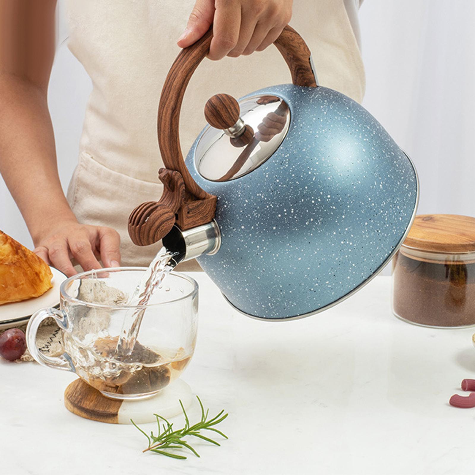 Bollitore da fornello da 0,5L  - Coffee Tea Etc recensione e prezzo