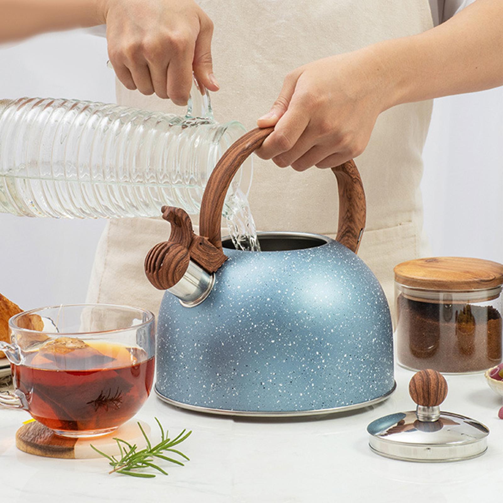 Bollitore da fornello da 0,5L  - Coffee Tea Etc recensione e prezzo