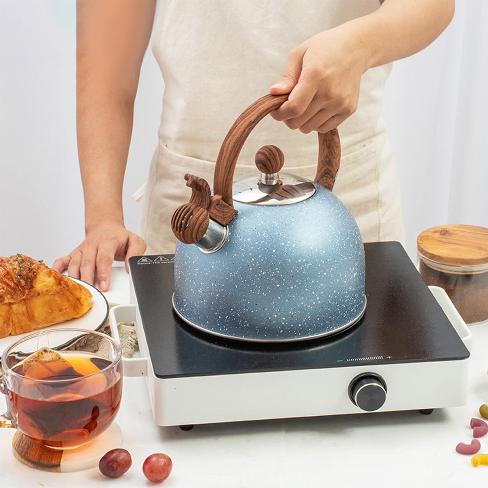 Bollitore da fornello da 0,5L  - Coffee Tea Etc recensione e prezzo